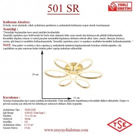 Eray Aydınlatma 501 Sarı Led Avize