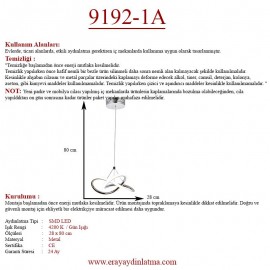Eray Aydınlatma 9192-1A Led Tekli Avize